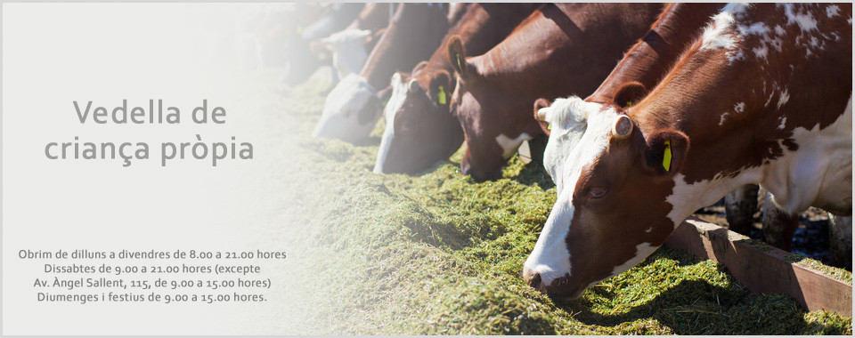 vedella de criança pròpia